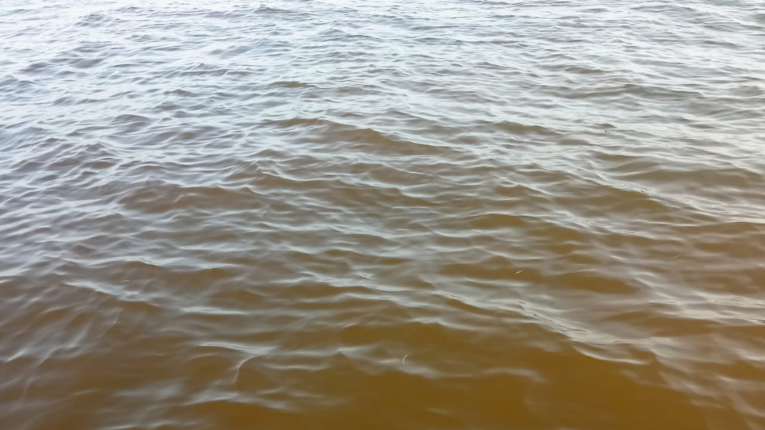 Pescadores captan presunta marea roja en la costa de Yucatán