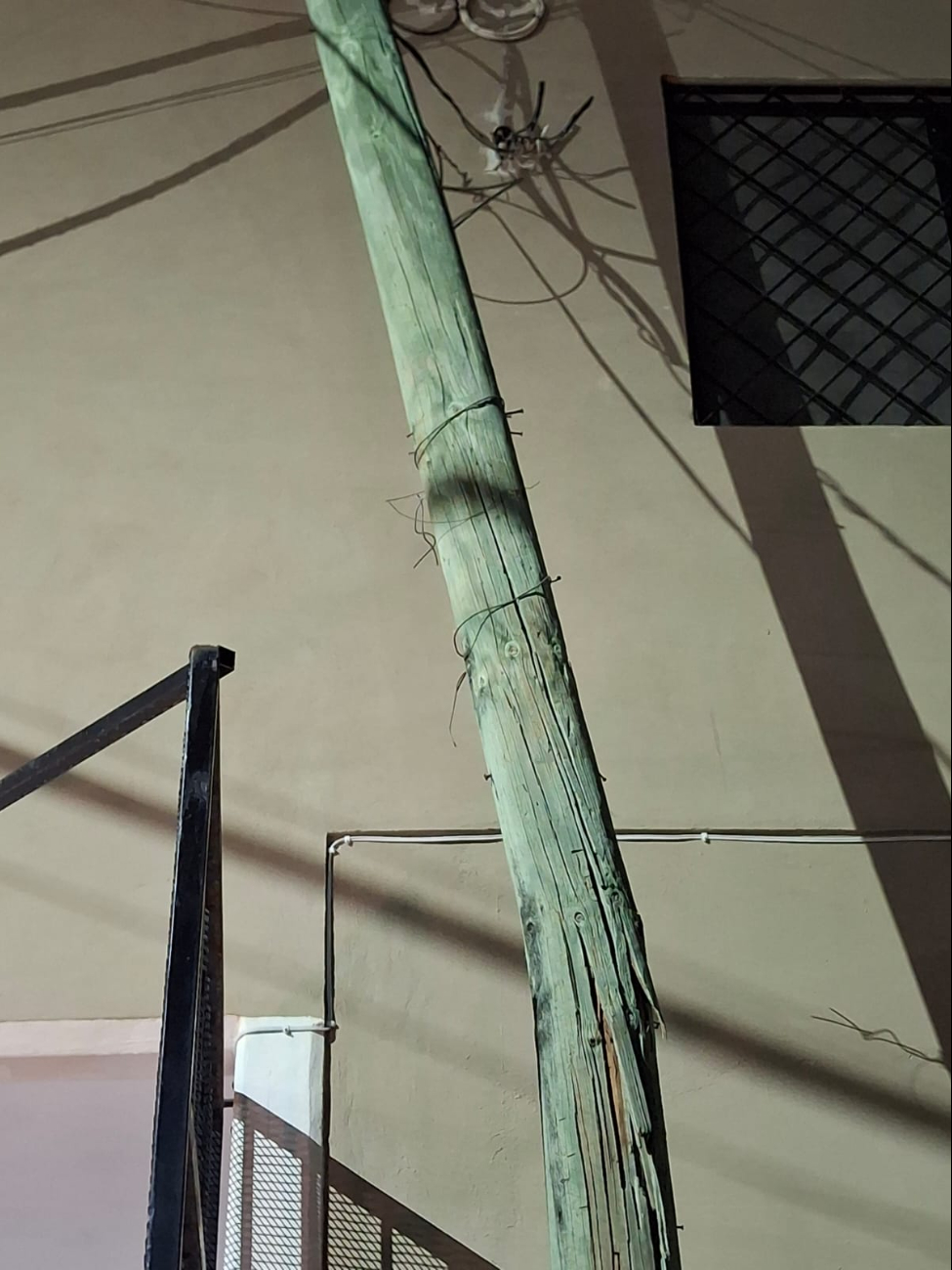 Vecinos denuncian falta de atención de Telmex y autoridades, pese a reportes previos. Vecinos denuncian falta de atención de Telmex y autoridades, pese a reportes previos.