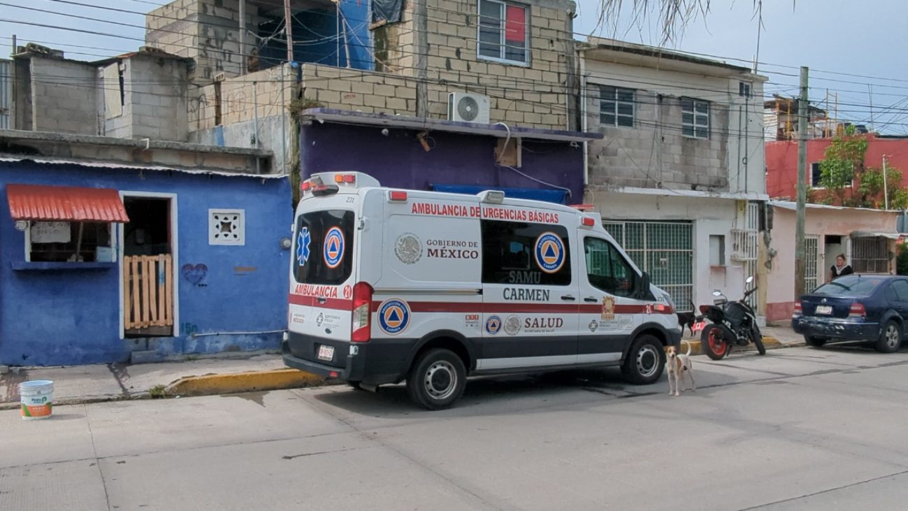 Alerta por enjambre de abejas africanas en la colonia Obrera, deja cinco personas con picaduras Alerta por enjambre de abejas africanas en la colonia Obrera, deja cinco personas con picaduras