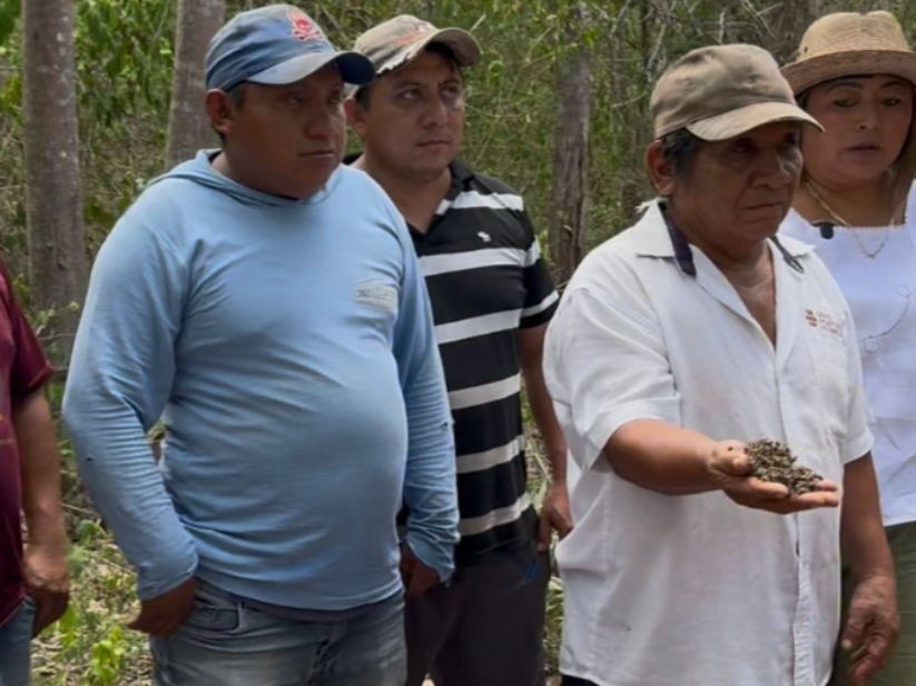 El fipronil interfiere con el sistema nervioso central de los insectos, provocando desorientación, parálisis y muerte El fipronil interfiere con el sistema nervioso central de los insectos, provocando desorientación, parálisis y muerte