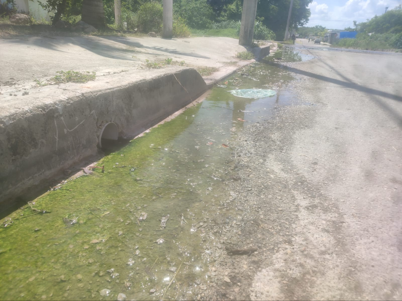 En temporada de calor esta situación genera mucha molestia entre los habitantes. En temporada de calor esta situación genera mucha molestia entre los habitantes.