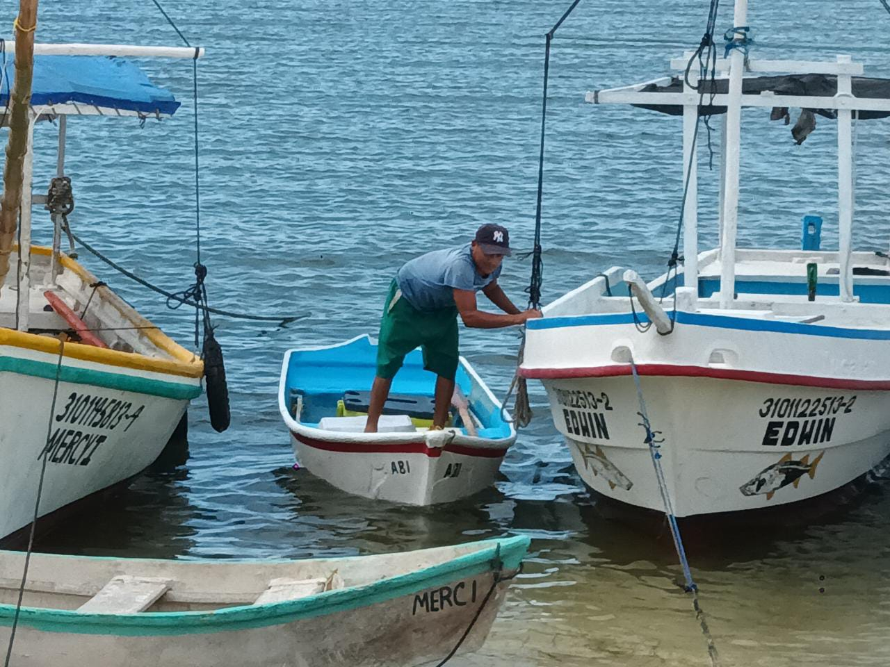 Los lancheros han comenzado a realizar tours para mostrar a visitantes los efectos destructivos de la marea roja Los lancheros han comenzado a realizar tours para mostrar a visitantes los efectos destructivos de la marea roja