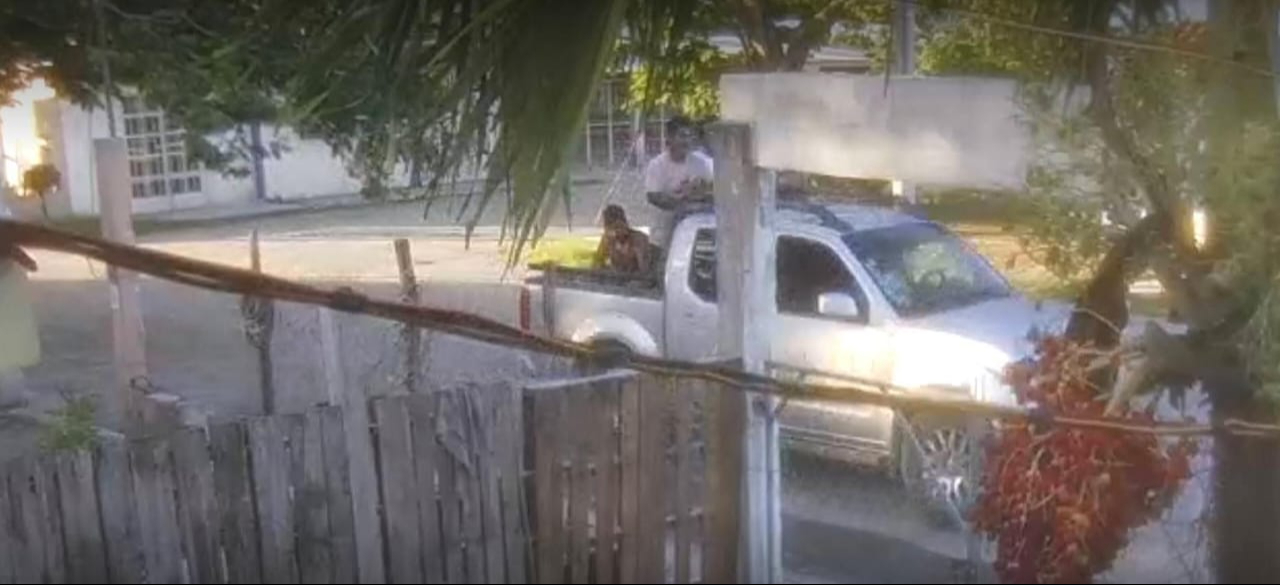 Pareja en motocicleta y sujetos en camioneta roban perros de raza en Champotón