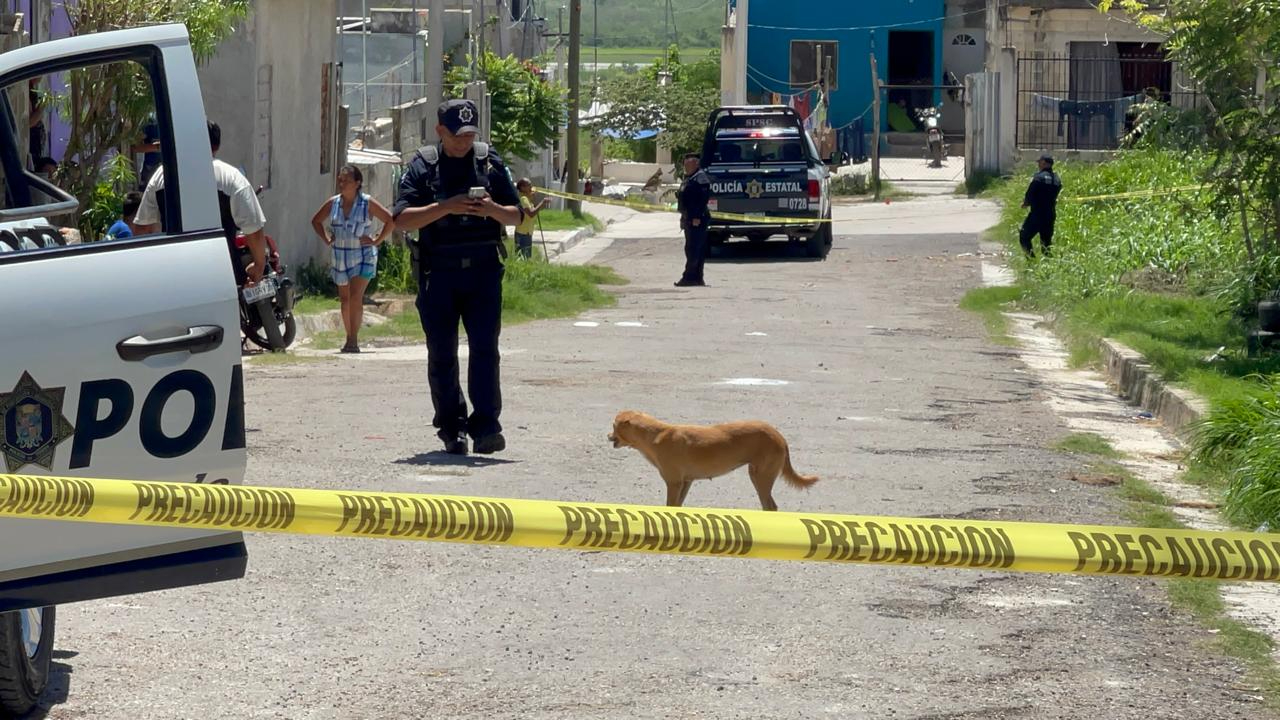 Siete perros mueren envenenados y comunidad clama justicia Siete perros mueren envenenados y comunidad clama justicia