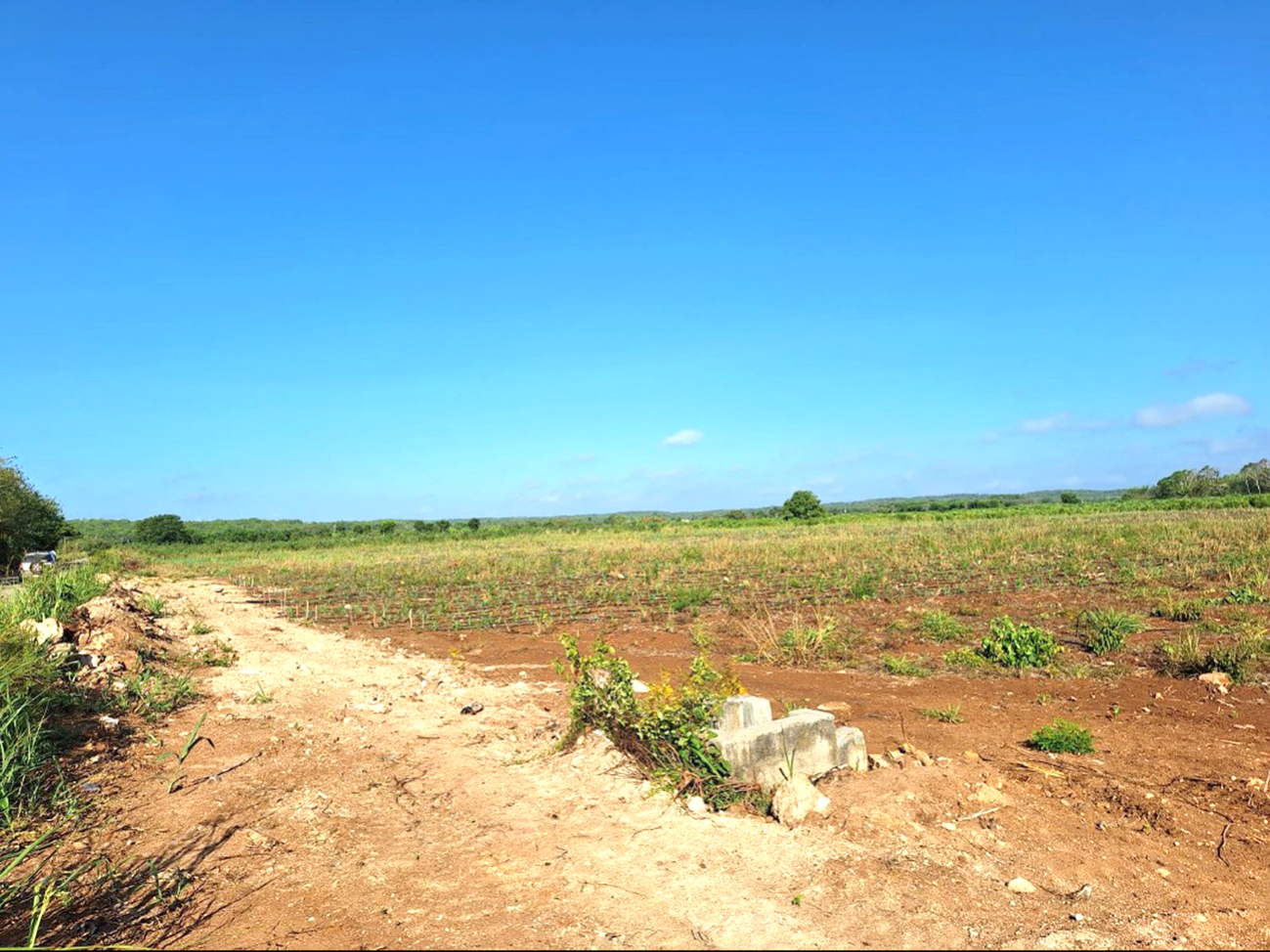 La Candelaria es uno de los  pocos núcleos agropecuario  donde no se facilita el uso de  superficies mecanizadas.