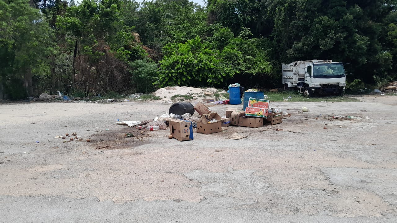 Locatarios denuncian foco de infección cerca de puestos de comida. Locatarios denuncian foco de infección cerca de puestos de comida.