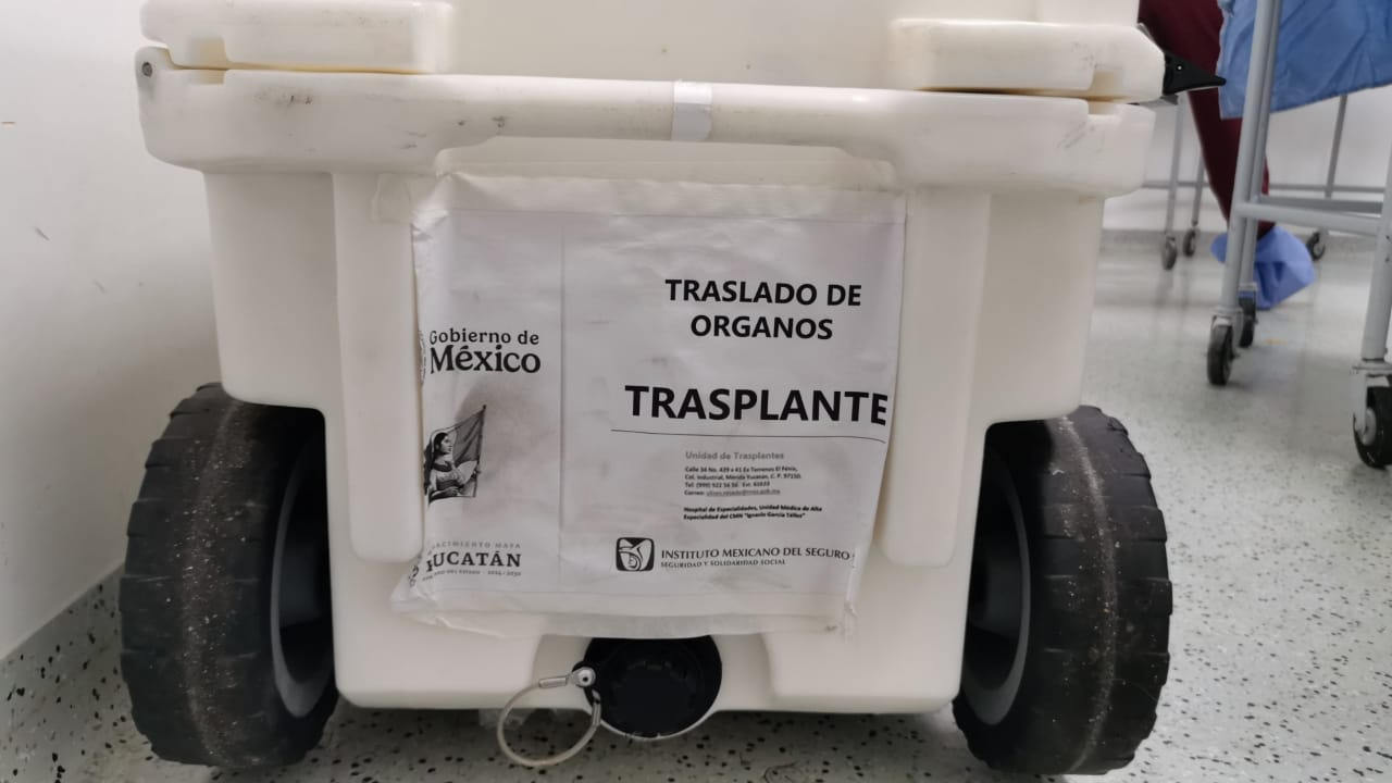 Quintana Roo alcanza 15 donaciones de órganos y tejidos en lo que va de 2025 Quintana Roo alcanza 15 donaciones de órganos y tejidos en lo que va de 2025