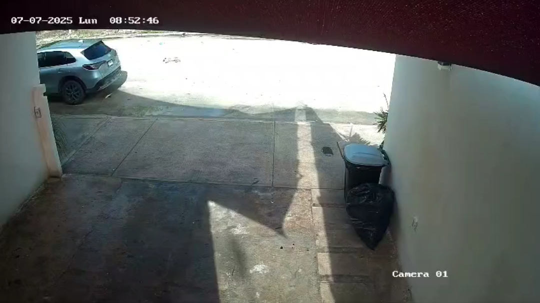 El video muestra como una patrulla le pasa por encima al perrito. El video muestra como una patrulla le pasa por encima al perrito.