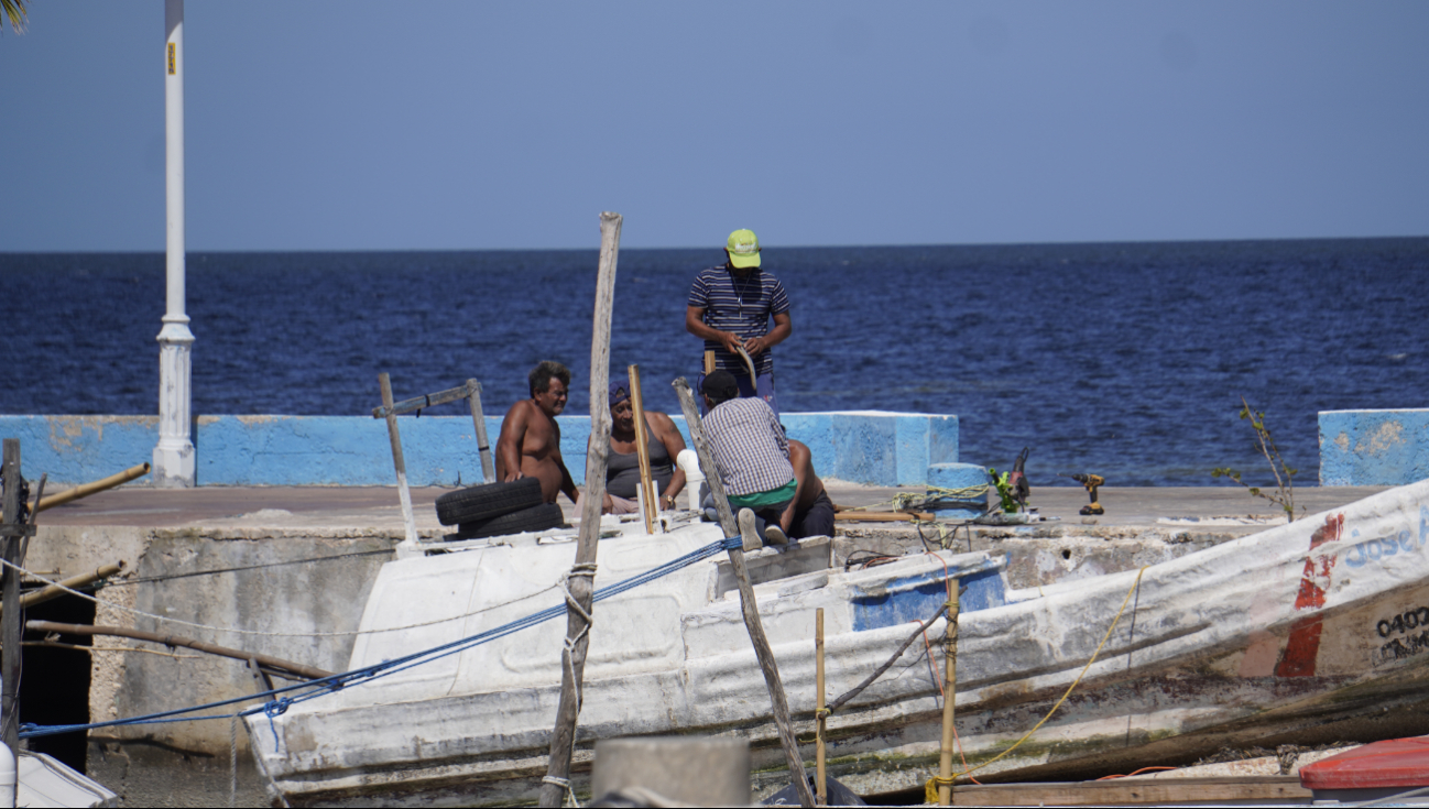 En Lerma impulsan el proyecto de zonas protegidas con respaldo de los diputados para resguardar áreas clave del ecosistema marino