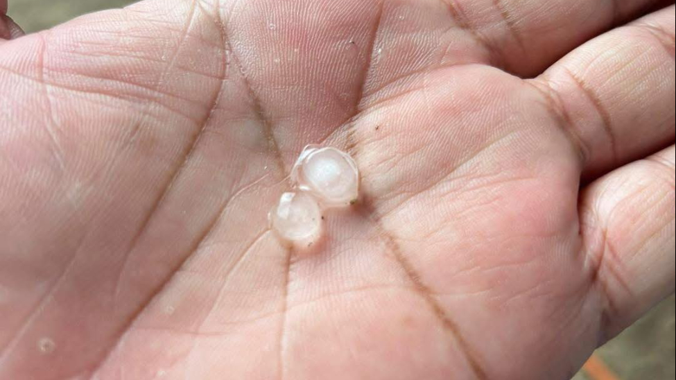 En Valladolid las lluvias estuvieron acompañadas de caída de granizo