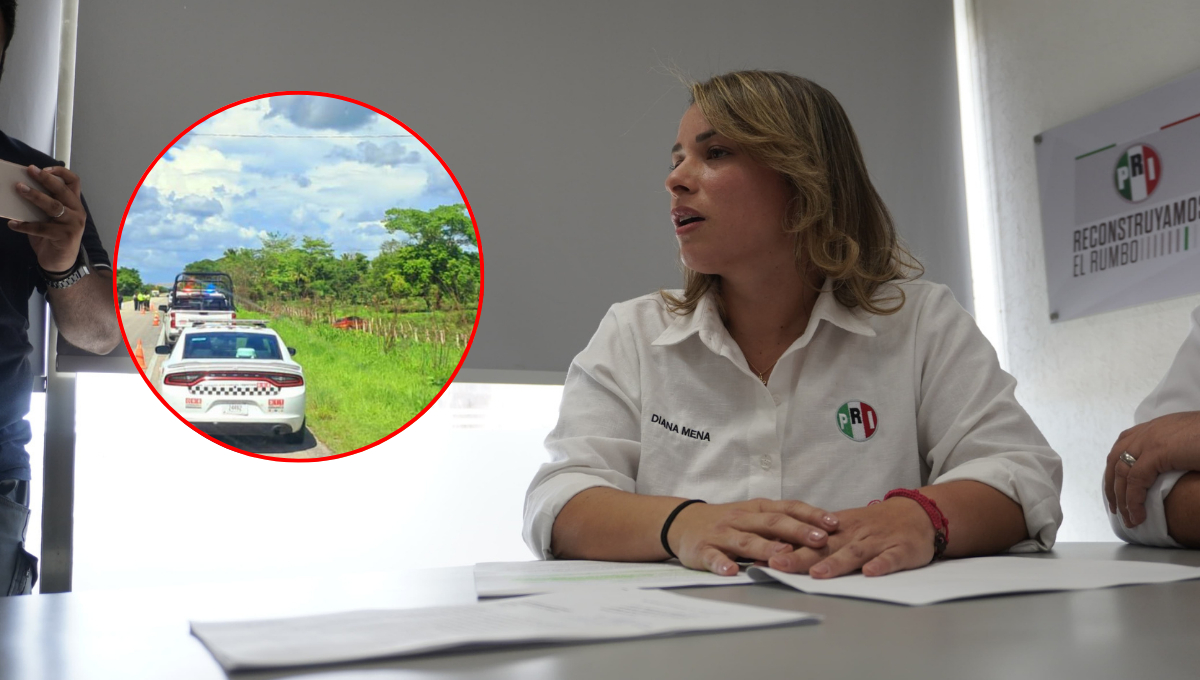 El PRI presentó una denuncia ante la Fiscalía Anticorrupción para que se investigue si hubo omisión de autoridades en el caso de Aracely C.L.