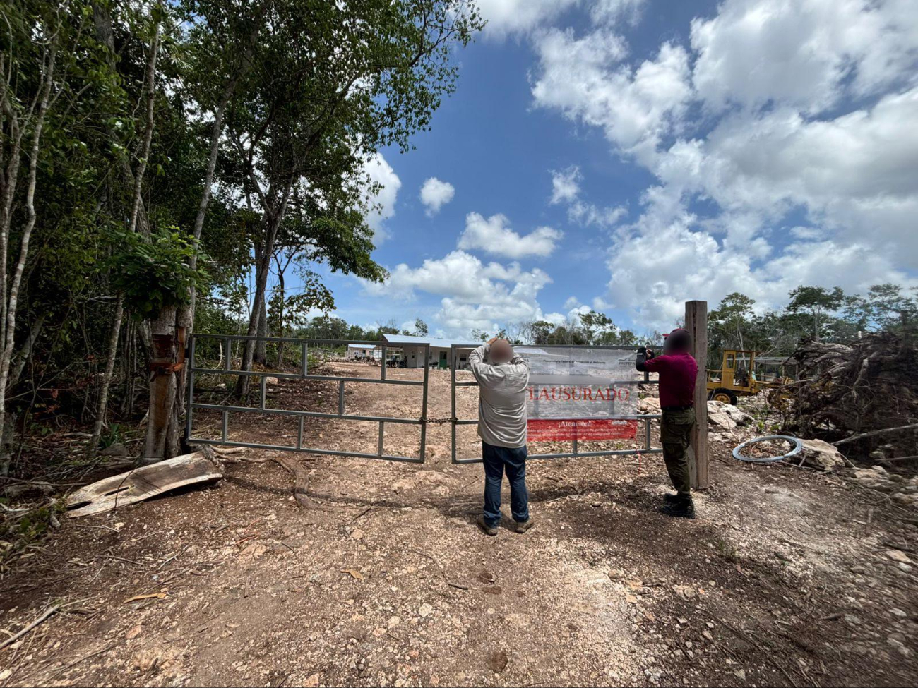 La Profepa ha clausurado varios predios en Quintana Roo y Yucatán La Profepa ha clausurado varios predios en Quintana Roo y Yucatán