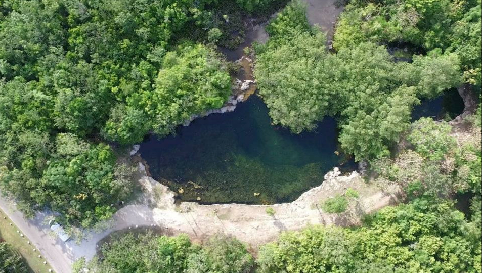 Los especialistas han alertado sobre el riesgo de perder uno de los sistemas de cuevas y sus afluentes que están siendo dañados Los especialistas han alertado sobre el riesgo de perder uno de los sistemas de cuevas y sus afluentes que están siendo dañados