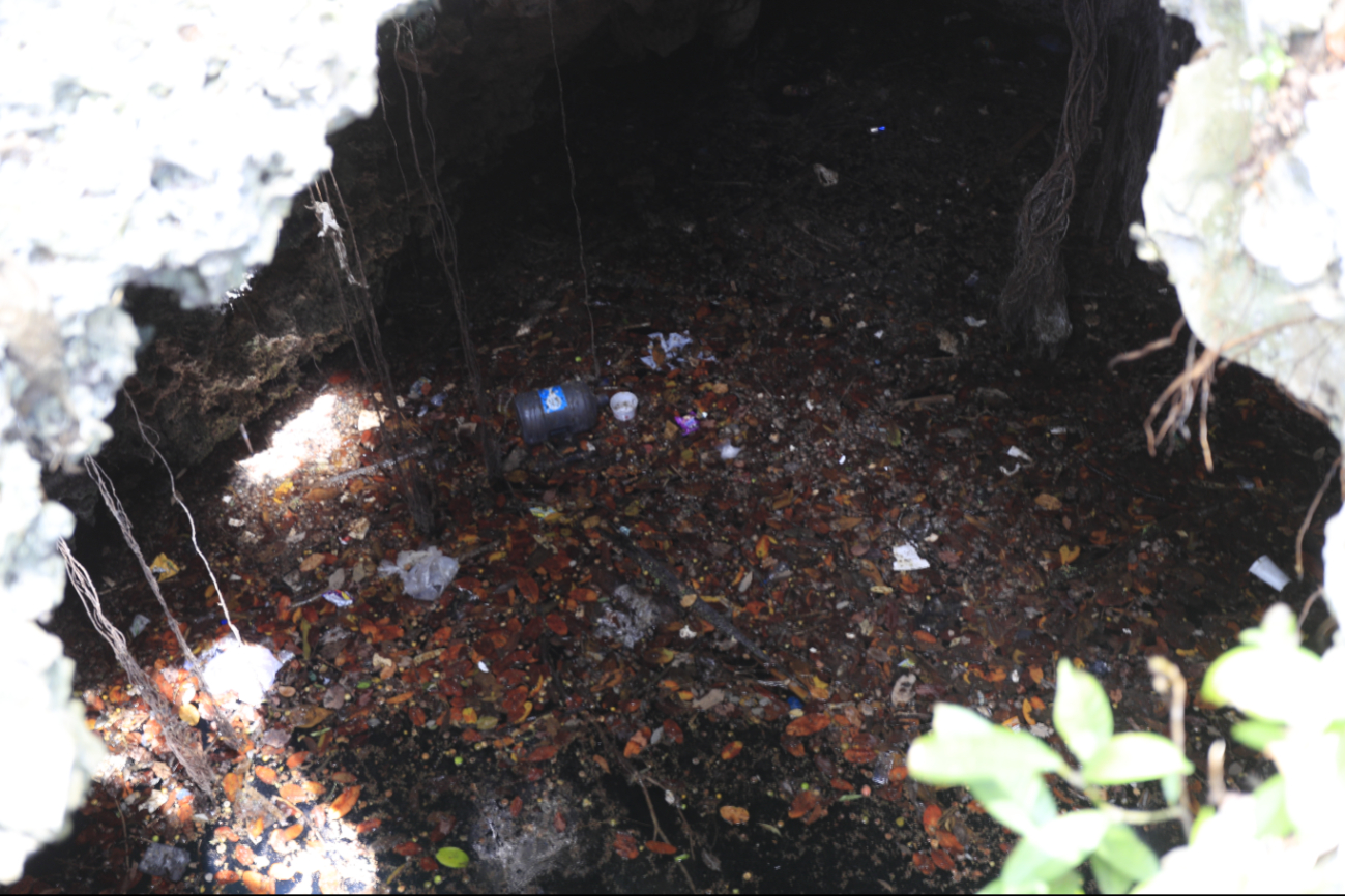 Quintana Roo cuenta con más de 3 mil 500 cenotes y al menos mil 800 kilómetros de ríos subterráneos afectados por el desarrollo urbano Quintana Roo cuenta con más de 3 mil 500 cenotes y al menos mil 800 kilómetros de ríos subterráneos afectados por el desarrollo urbano