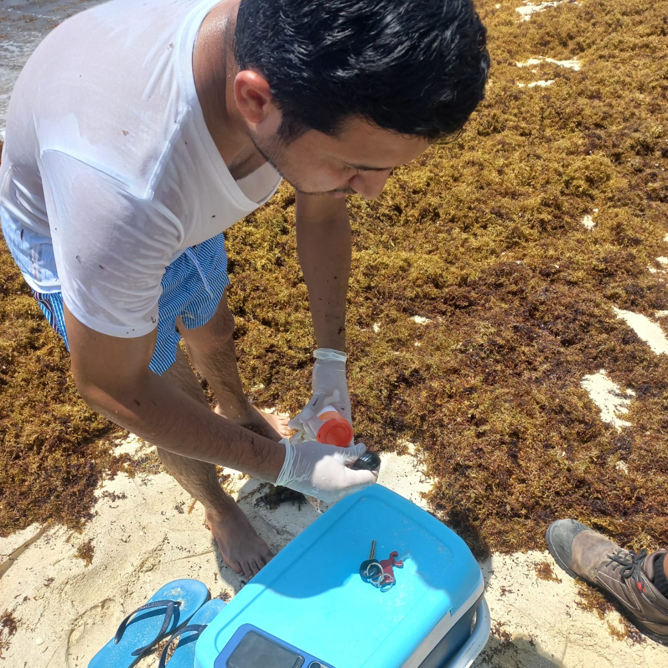 También se realizan monitoreos constantes de la calidad del agua También se realizan monitoreos constantes de la calidad del agua