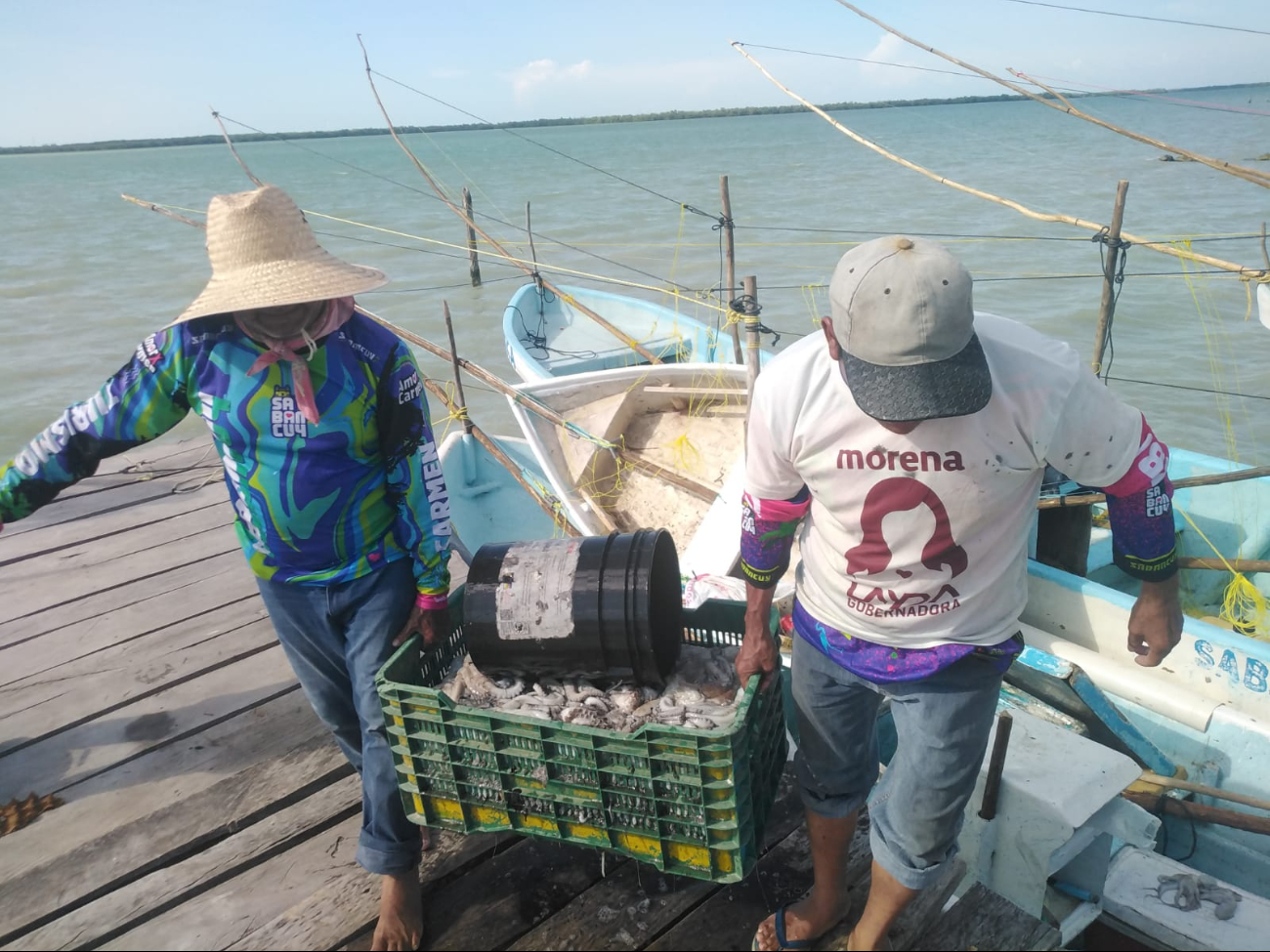 Arranca bien la temporada de pulpo en Sabancuy: Pescadores reportan hasta 40 kilos por lancha 