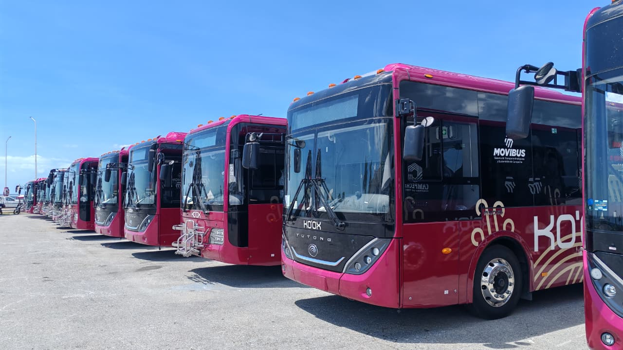 Se acabó la espera: Ko’ox arranca en Campeche este 2 de agosto con 22 camiones; ¿será gratuito o con tarifa?