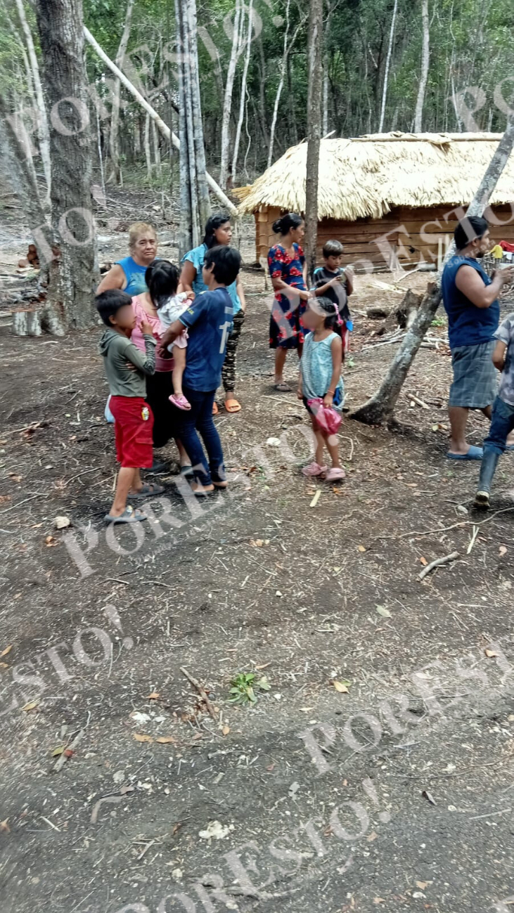 Los invasores provienen de Chiapas, Tabasco, Veracruz y posiblemente Guatemala.