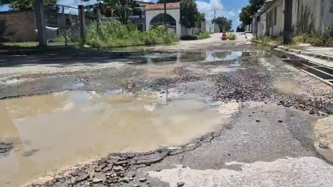 Vecinos denuncian abandono y caos vial por baches llenos de agua en colonia Las Palomas Vecinos denuncian abandono y caos vial por baches llenos de agua en colonia Las Palomas