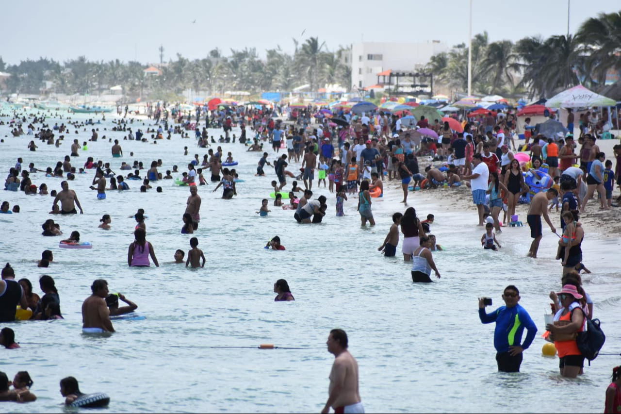 Algas nocivas en el mar de Progreso no paralizan al turismo