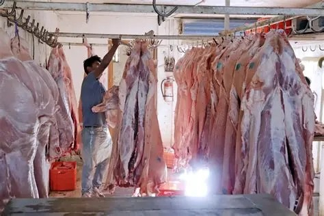 La Dirección Contra Riesgos Sanitarios ha trabajado en la búsqueda de rastros clandestinos.