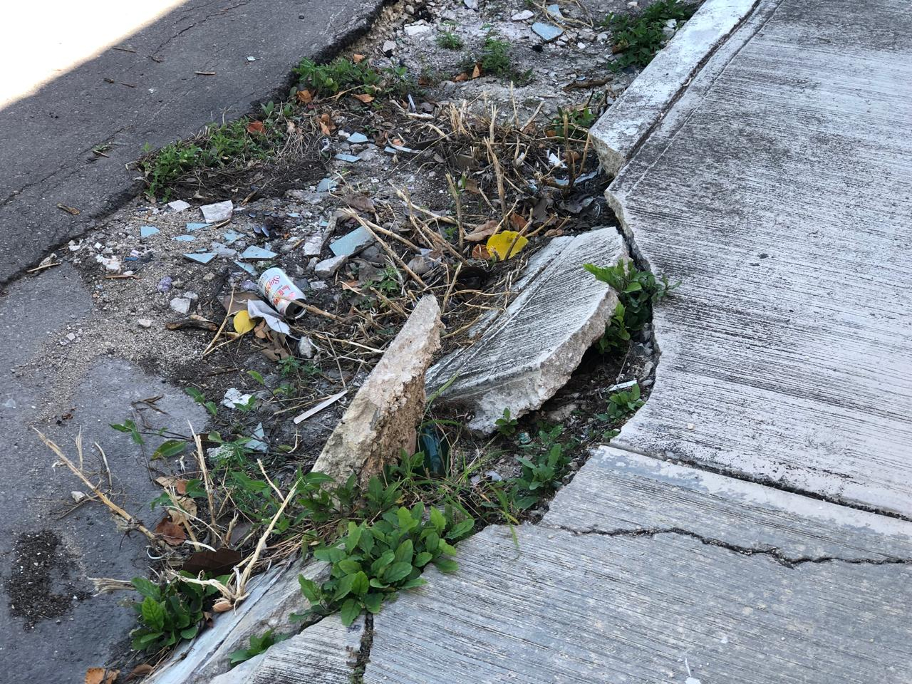Señalan abandono de colonia Plutarco Elías Calles, Quintana Roo Señalan abandono de colonia Plutarco Elías Calles, Quintana Roo