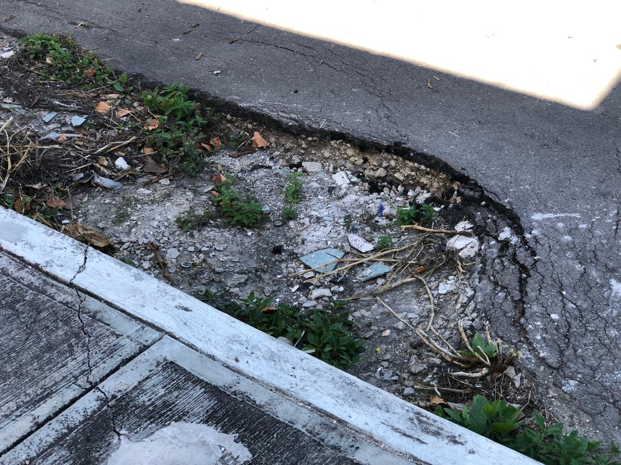 Señalan abandono de colonia Plutarco Elías Calles, Quintana Roo Señalan abandono de colonia Plutarco Elías Calles, Quintana Roo