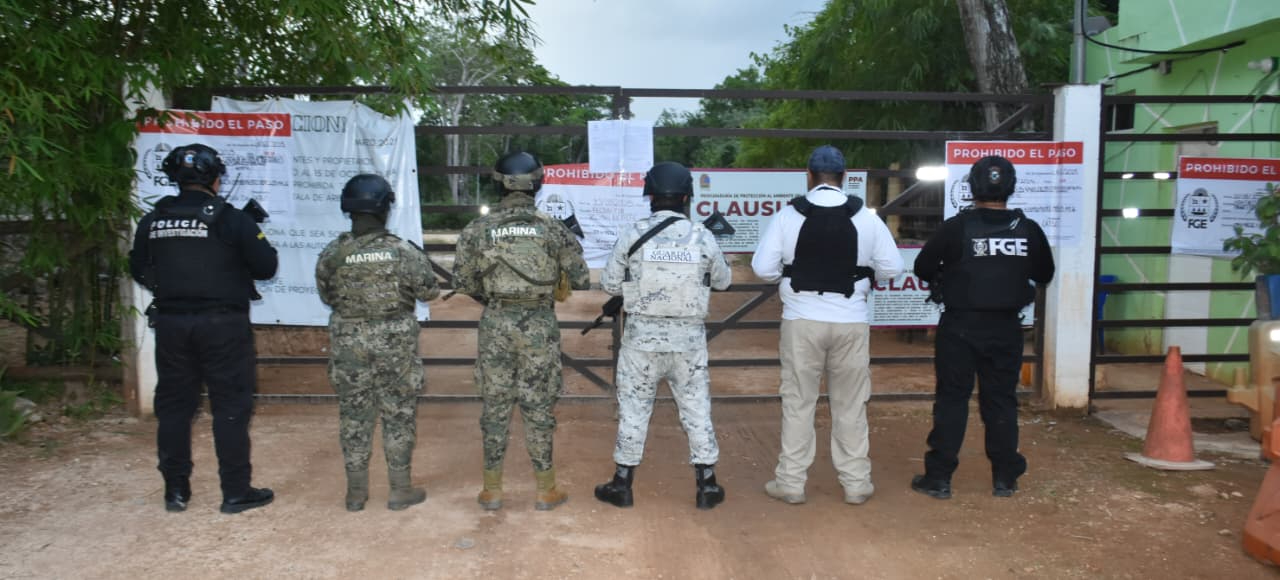 Aseguran predio en la “Ruta de los Cenotes” por presunto delito ambiental en Puerto Morelos
