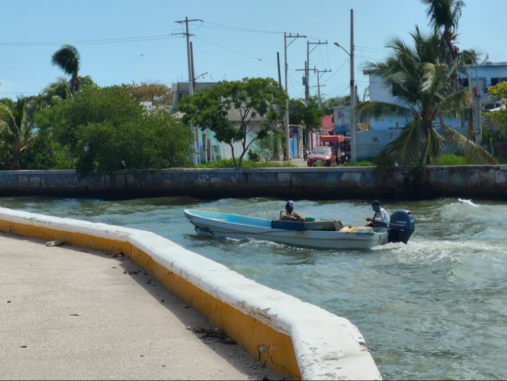 Pescadores de Carmen en alerta preventiva por marea roja en Yucatán