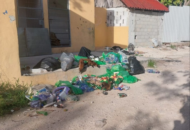 Se pidió a la población y visitantes mantener el destino limpio para mantener la imagen y proteger a la fauna
