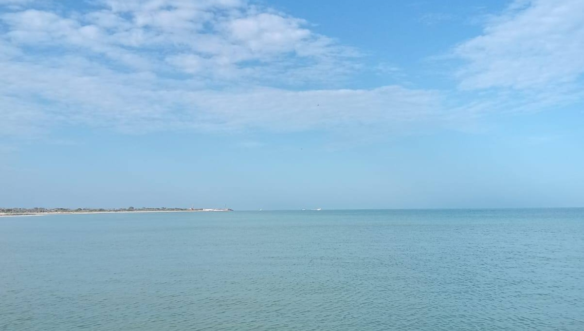 Celestún es una de las playas libres de marea roja en Yucatán Celestún es una de las playas libres de marea roja en Yucatán