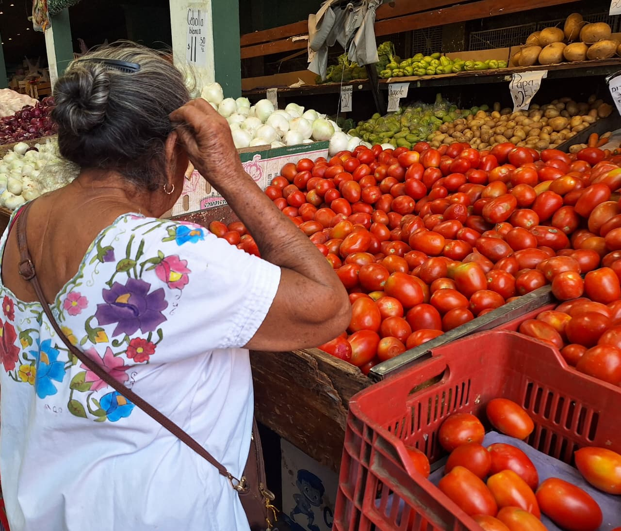 El precio del tomate oscila entre los 15 y 17 pesos por kilogramo El precio del tomate oscila entre los 15 y 17 pesos por kilogramo