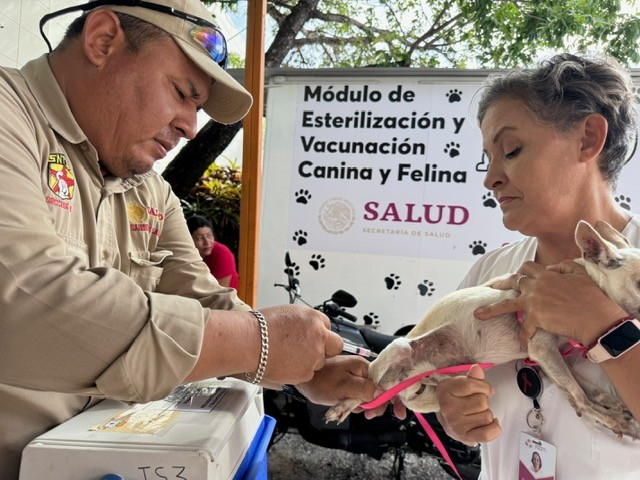 Este miércoles 13 de agosto se realiza una jornada gratuita de vacunación antirrábica en Campeche. Este miércoles 13 de agosto se realiza una jornada gratuita de vacunación antirrábica en Campeche.