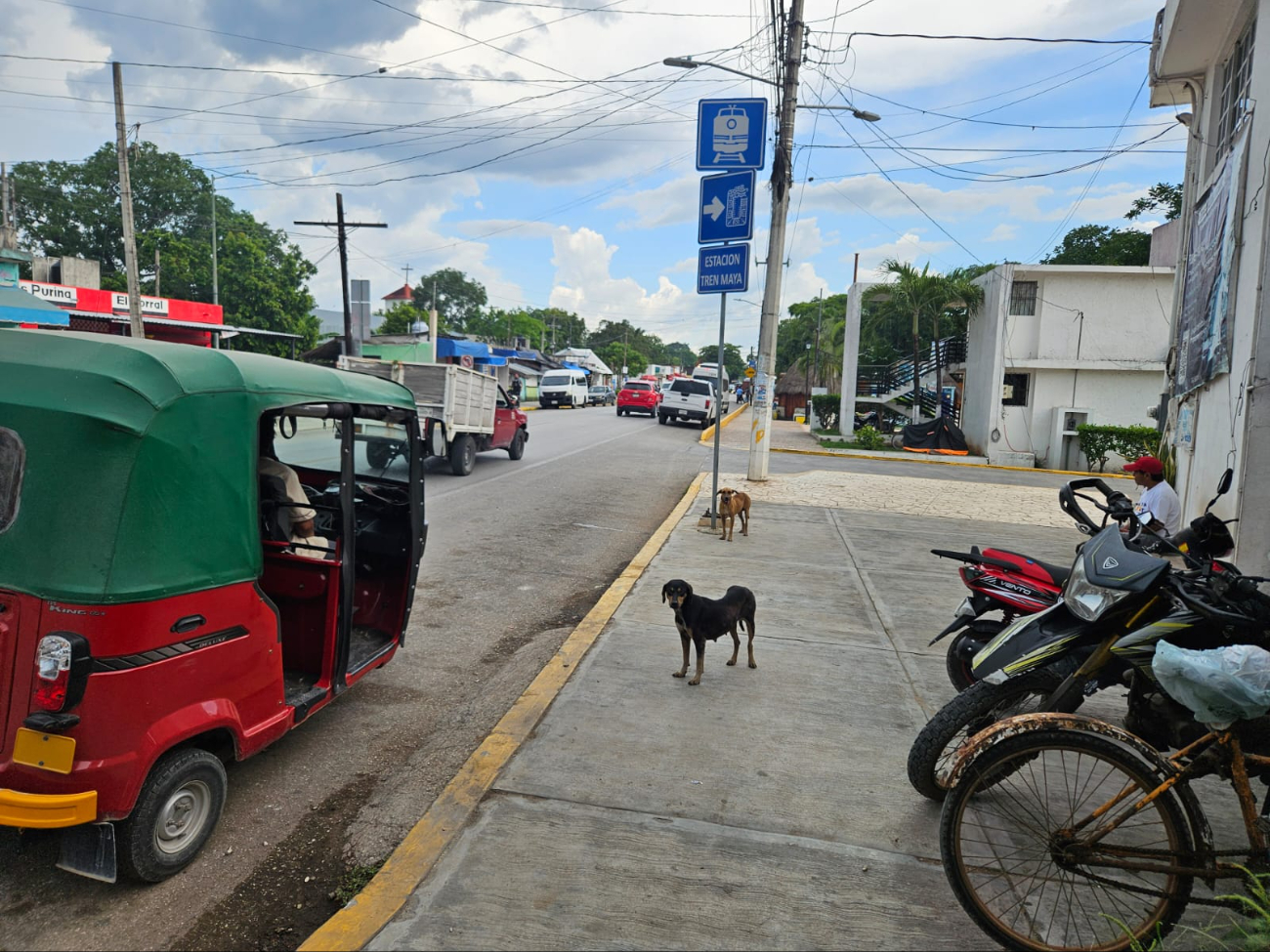 La multa a la mujer responsable de la muerte del can fue de 10 mil pesos