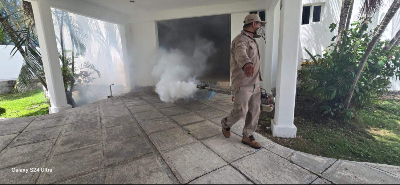Las autoridades de Salud de la isla refuerzan las campañas de fumigación y limpieza para combatir el incremento del mosco transmisor Aedes aegypti Las autoridades de Salud de la isla refuerzan las campañas de fumigación y limpieza para combatir el incremento del mosco transmisor Aedes aegypti