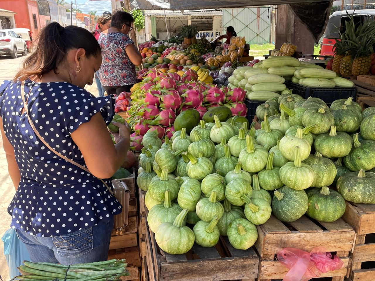 Los Chenes impulsa precios bajos de la calabaza “Dzolita” en Campeche