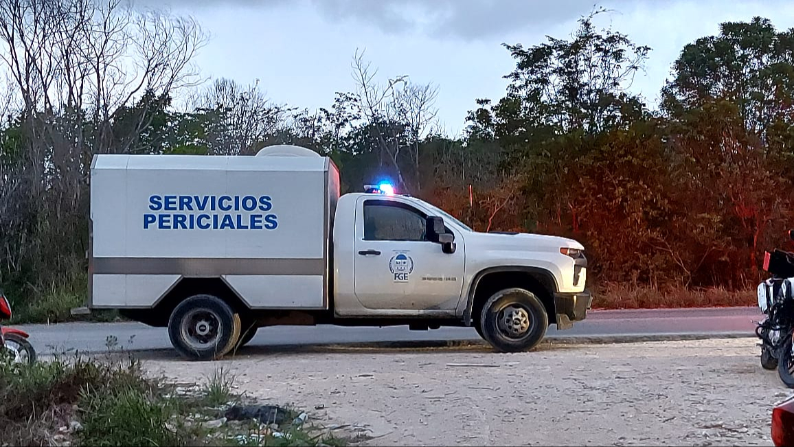 Los Servicios Periciales realizaron el levantamiento del cuerpo. Los Servicios Periciales realizaron el levantamiento del cuerpo.