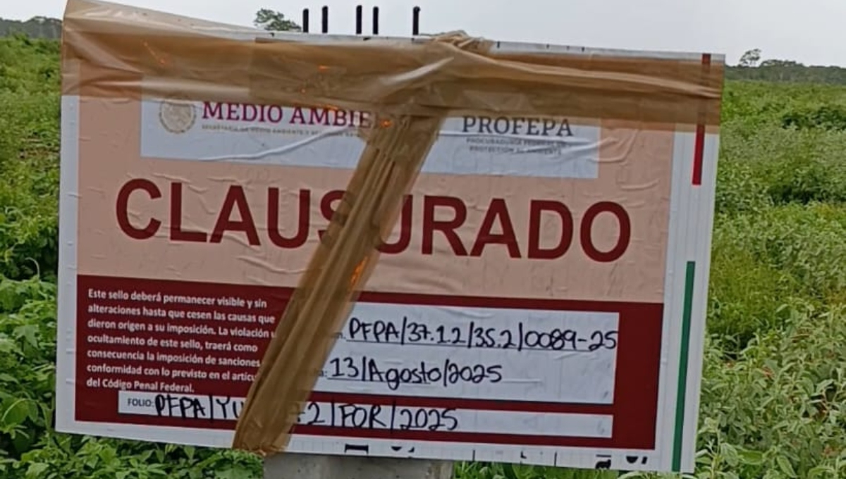 La Profepa colocó letreros de clausura en las obras en Baca