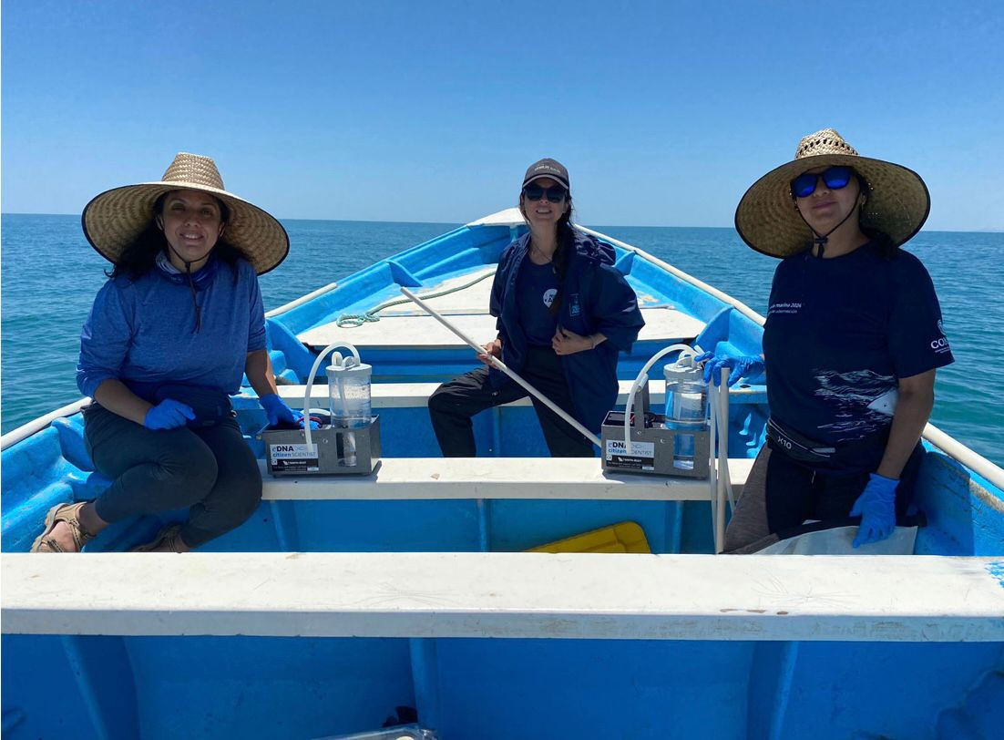Una práctica de varias toneladas de pescado capturado bajo esta técnica