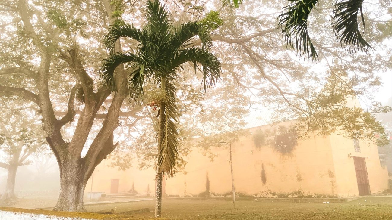 En Yucatán, la presencia de neblina se asocia a la costa o a áreas con vegetación y cuerpos de agua