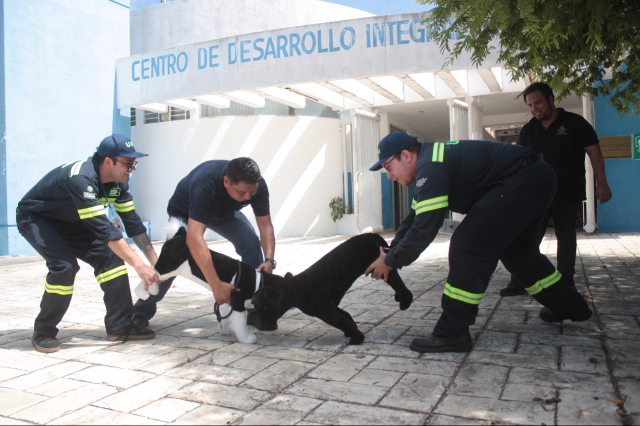 El Ayuntamiento de Mérida reporta listos 68 refugios temporales en la ciudad y sus comisarías El Ayuntamiento de Mérida reporta listos 68 refugios temporales en la ciudad y sus comisarías
