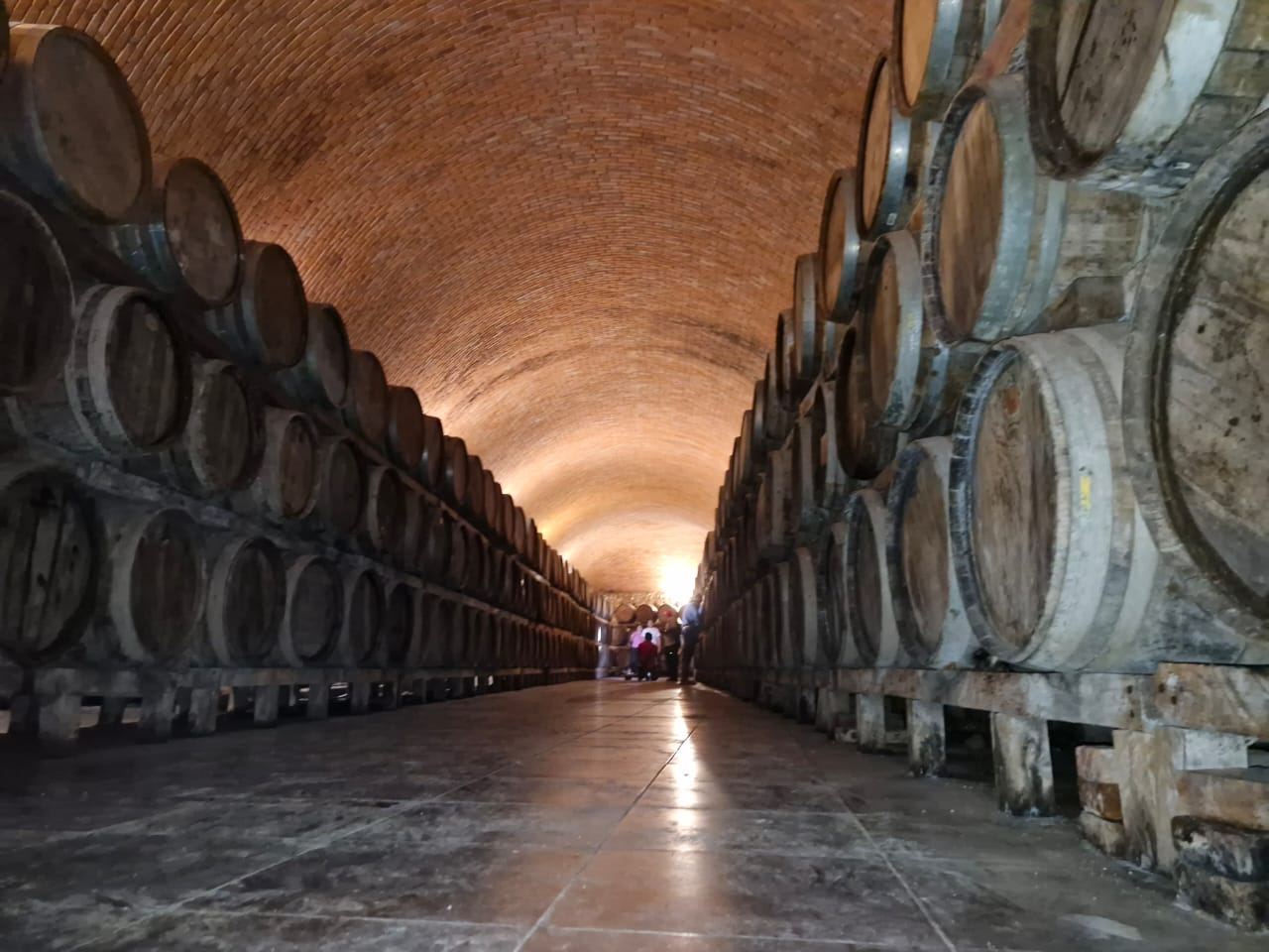 La cava de la destilería es única en todo el estado. La cava de la destilería es única en todo el estado.