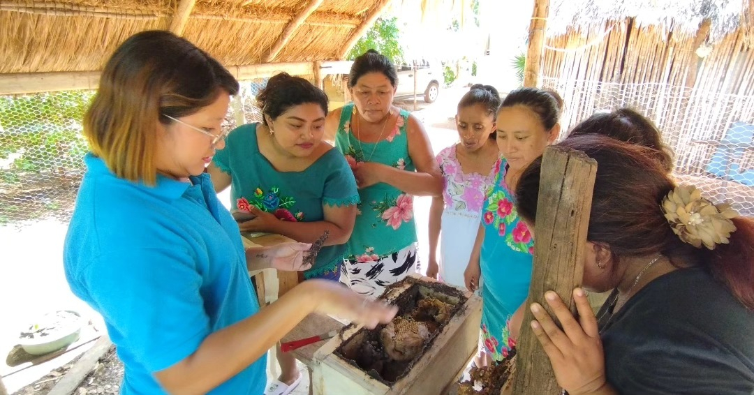 Agrupación Mujeres Guardianas del Puuc advierte de graves riesgos para las abejas en el Sur