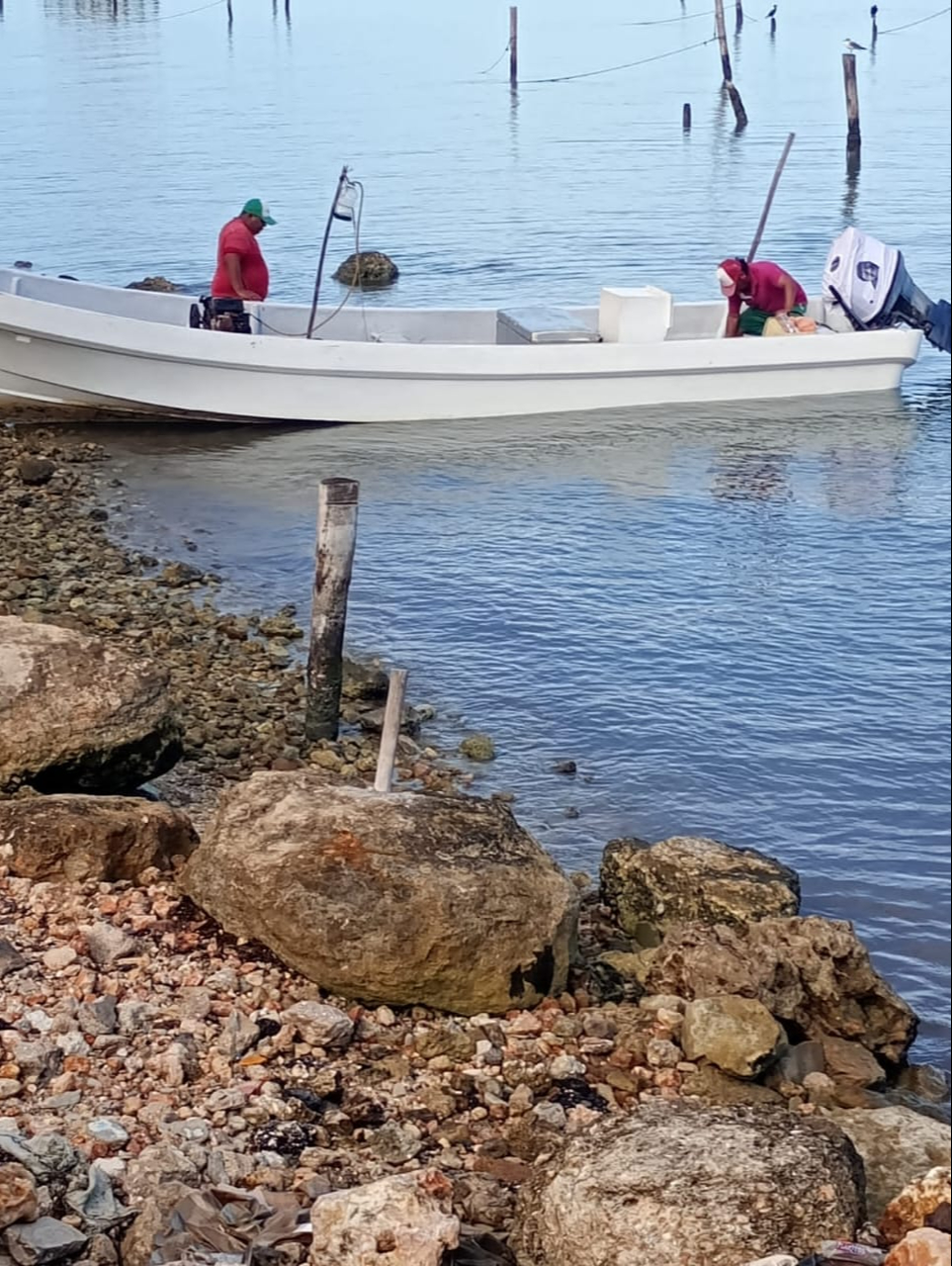 Compresoras y bovedillas: el secreto a voces de la pesca furtiva en Campeche Compresoras y bovedillas: el secreto a voces de la pesca furtiva en Campeche