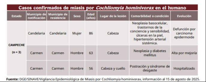 Campeche suma tres casos de miasis por gusano barrenador en personas