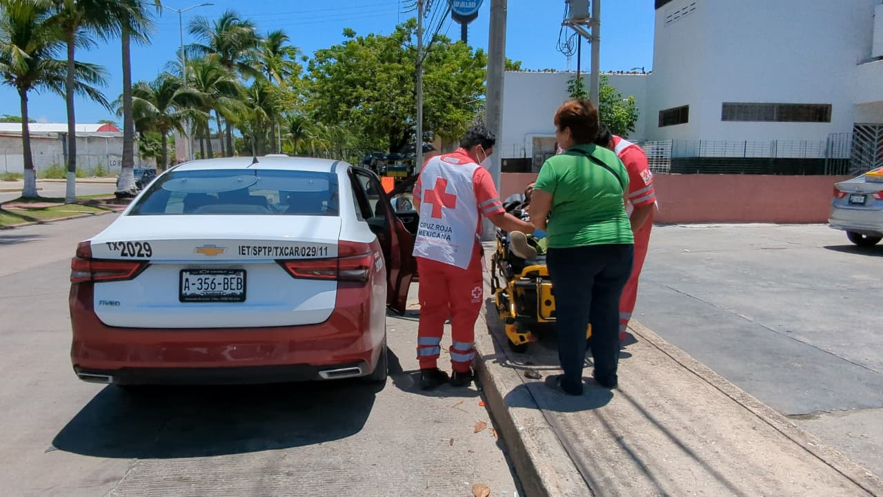 Grave incidente en Tierra y Libertad: pasajero es atacado por serpiente