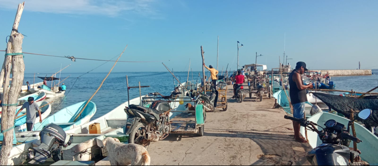 La captura furtiva aumenta la probabilidad de accidentes de buceo, sin acceso a atención
