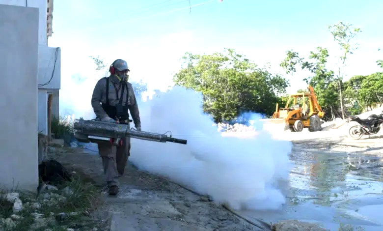 Bajan casos de dengue en Quintana Roo: van 83 en 2025, 10 % menos que en 2024