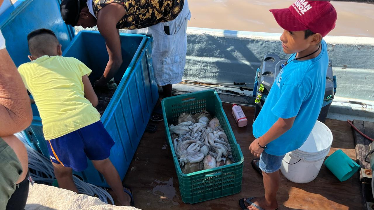 En Chabihau, de un total de 400 pescadores en la zona, solo 80, aproximadamente, se hicieron a la mar en busca de esta especie marina En Chabihau, de un total de 400 pescadores en la zona, solo 80, aproximadamente, se hicieron a la mar en busca de esta especie marina
