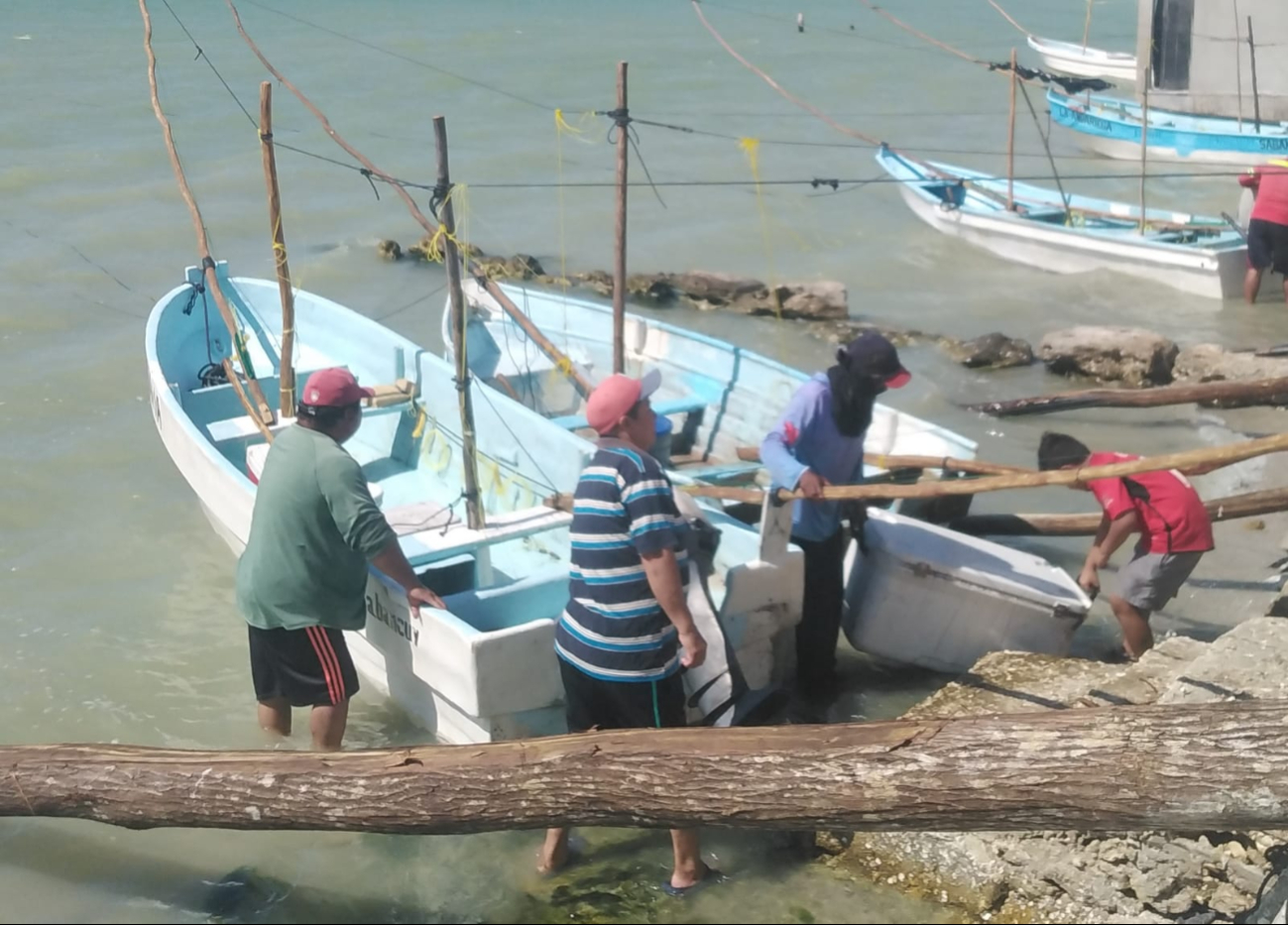 Los pescadores esperan que se mantengan las buenas capturas y precios. Los pescadores esperan que se mantengan las buenas capturas y precios.